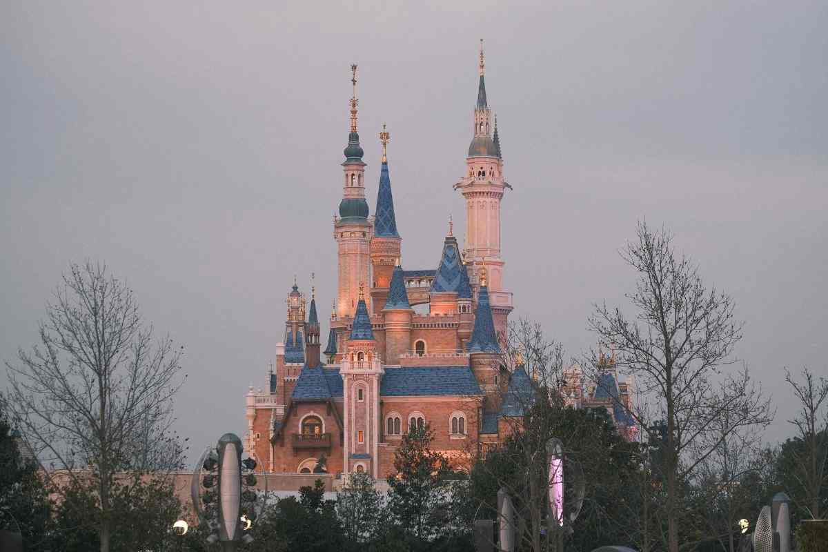 videocassette cartoni disney tesoro