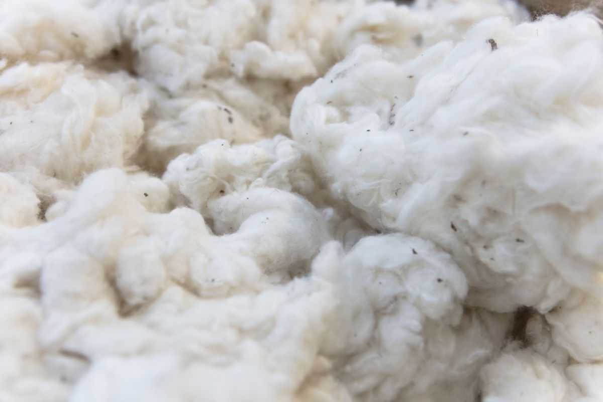 Lanugine asciugatrice, come riutilizzarla