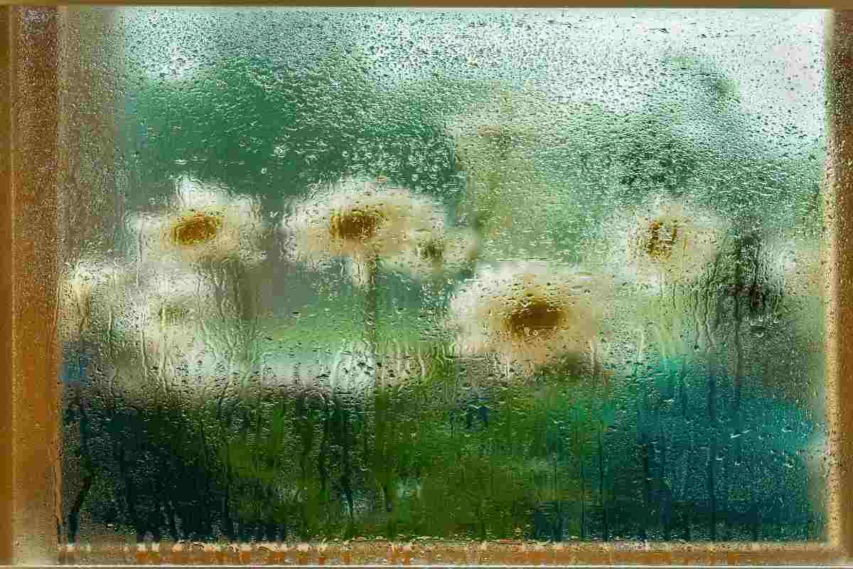 vetri bagnati condensa