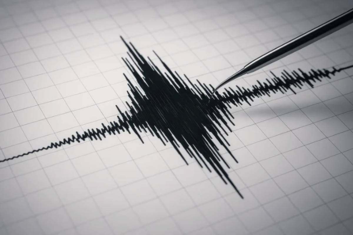Secondo i dati aggiornati dell'Istituto Nazionale di Geofisica e Vulcanologia (INGV), il territorio italiano ha visto un aumento sia nella frequenza