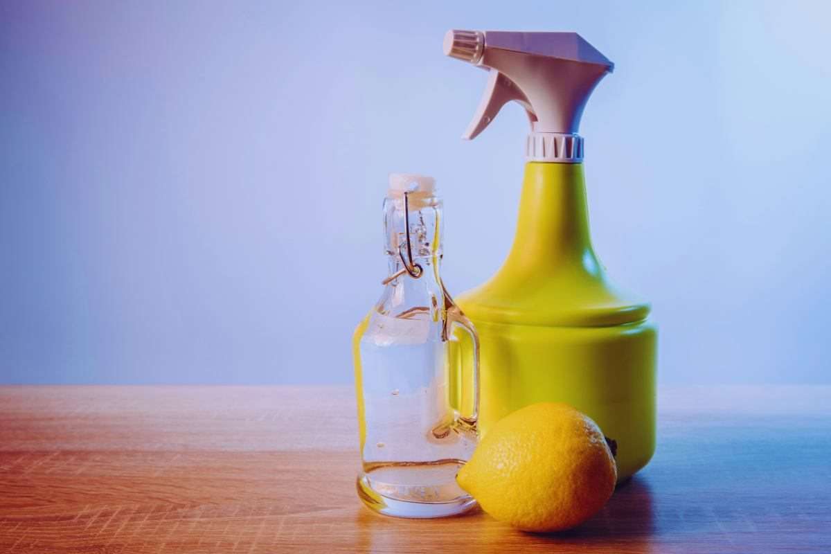 Perché dovresti sempre spruzzare aceto sui vestiti? Il trucco che rivoluziona la tua lavatrice