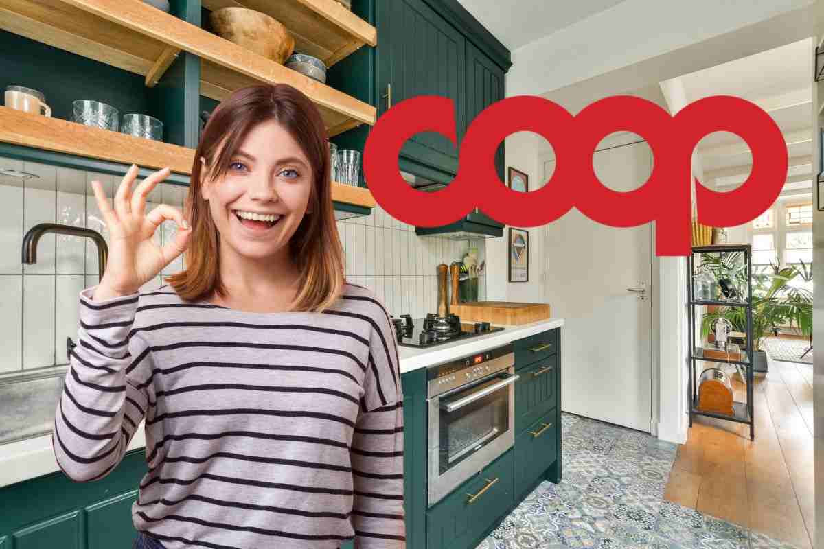 friggitrice ad aria coop 6 litri