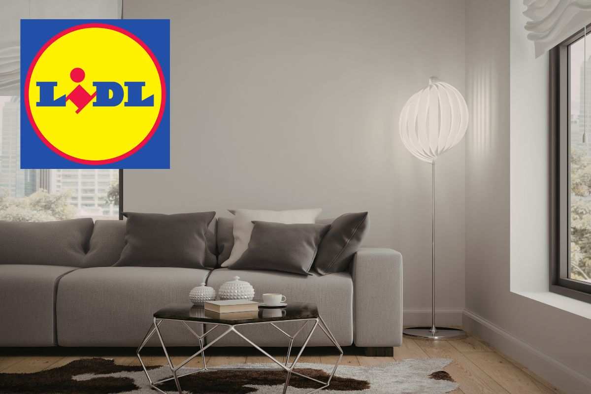 lampada lidl offerta piantana