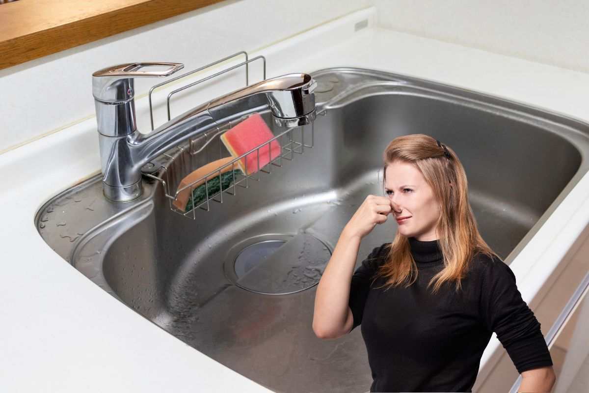 Addio puzza dal lavello