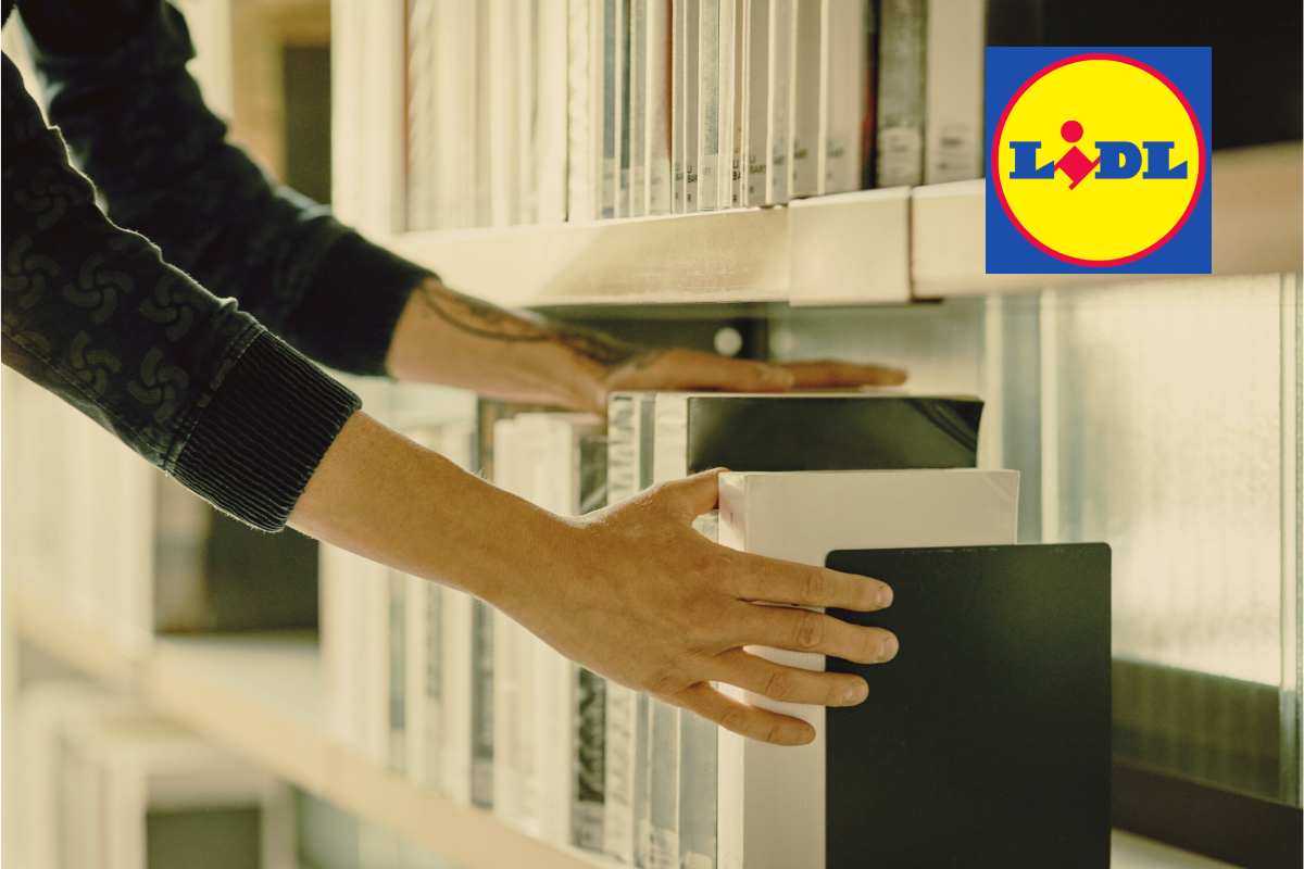 Da Lidl arriva il segreto per dire addio al caos in casa