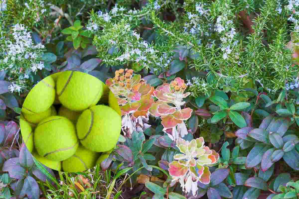 trucco per piante in inverno