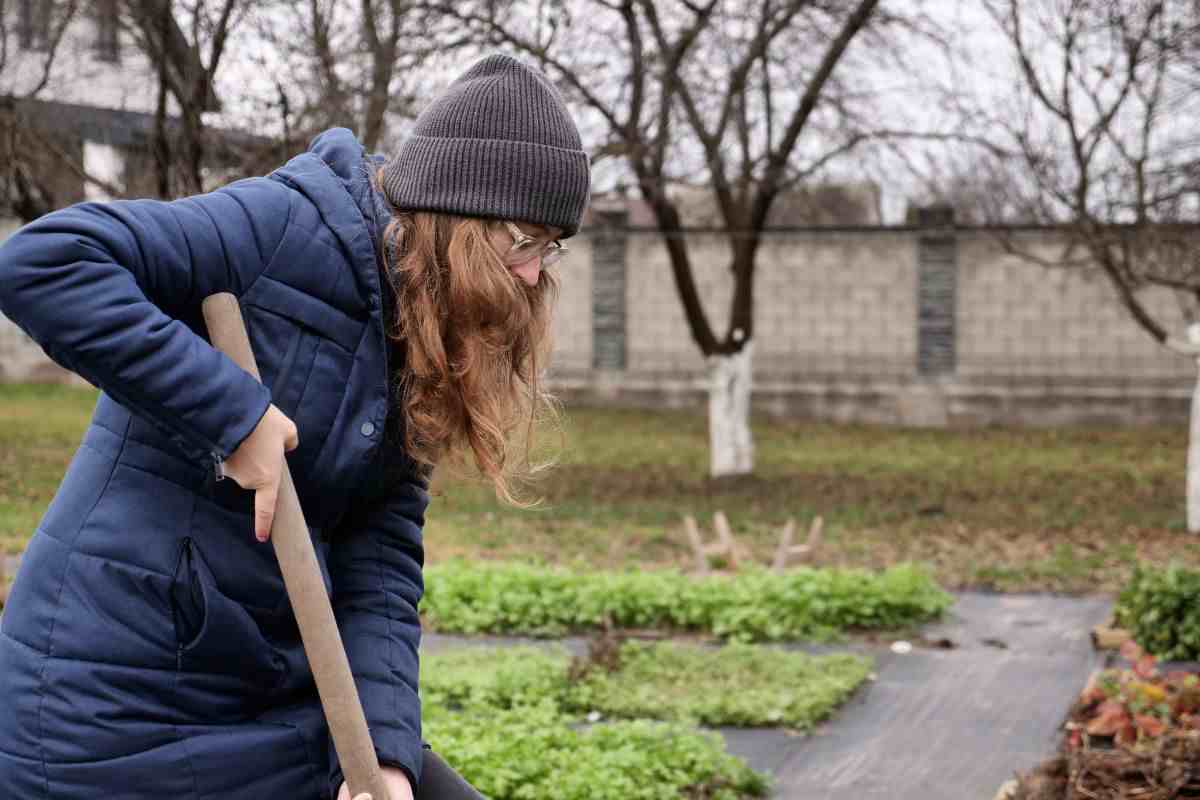 trucco per piante in inverno