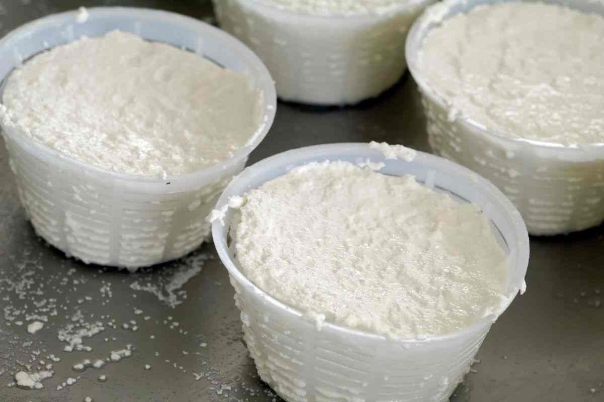 vasetto ricotta come riutilizzarlo
